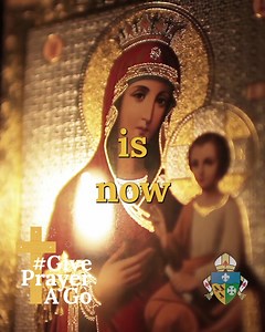 5K views · 245 reactions | On the Feast of the Assumption of Mary, join us in praying Our Lady's Song of Praise - the Magnificat. #catholicchurch #Jesus #jesuschrist #Prayer #Christ #catholicism #faith #Mary #bible | Archdiocese of Southwark | Facebook