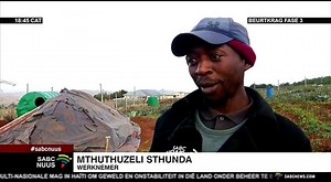 1K views · 18 reactions | INNOVASIE - 'n Jong boer van Tsolo in die Oos-Kaap het 'n kostedoeltreffende soort biobemesting geskep. Nkululeko Ngqinambi glo dit sal boere help ​​wat met hoë kunsmispryse sukkel. Die kunsmis is 'n kombinasie van vier inheemse spesies mikorisa- swamme. | SABC Nuus | Facebook