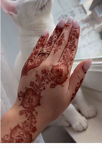 The Evolution of Henna Color Over 48 Hours