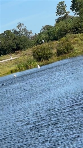 6.7K views · 65 reactions | Face down ass up  | Amanda Rose | Facebook