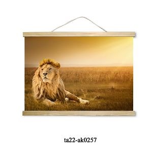 [Hot Item] Poster Scroll, for Hanging Posters, Prints, Photos, Pict Res, Maps, Scrolls, and Canvas Artwork Wall Posters