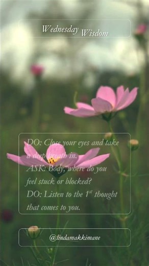 Wisdom Wednesday: Being Body Wise #bodywisdom