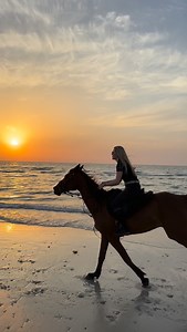 4.6K views · 125 reactions | #dubai #sunset #beach | dubai_horse_riding | Facebook