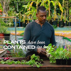 MasterClass on Reels