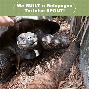 We BUILT a Galapagos Tortoise SPOUT! | Kamp Kenan