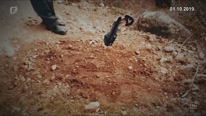 Krvni delikti, 01.10.2019.