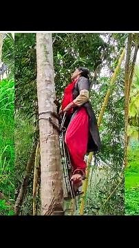 Coconut Tree Climbing Tool / Coconut Tree Climber Machine