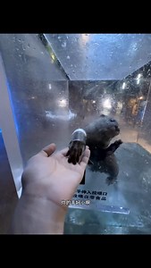 38K reactions · 113 shares |  Speed legends collide – where BMW’s...