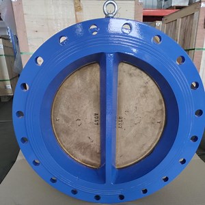[Hot Item] Gg25/Ggg40/Ggg50 Body Ci Di Pn10 and 150lb Dual Plate Double Flange Check Valve