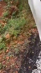 2K views · 22 reactions | What does this sign mean? #dashcam #trucktok #cdldriver #owneroperator #kenworth #peterbilt #truckingnation #semitruck #truckdriver | TruckTok | Facebook