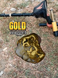 10K views · 156 reactions | Finding gold nugget with the metal detector! #treasurehunter #goldnugget #metaldetecting #golddetector #hunting #treasure #goldnuggets #GoldDetector #goldbars #gold #pinpointdetector #metaldetector | GO finder | Facebook