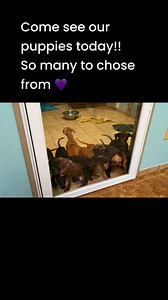 3.2K views · 86 reactions | Come see us at 2509 Manchester Express. Columbus, GA until 5pm today!! | Animal Ark Rescue | Facebook