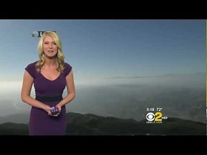 Evelyn Taft 2012/05/10 CBS2/KCAL9 HD; Little purple dress
