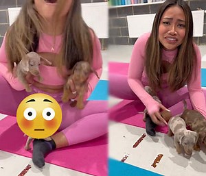 Wasted No Time: That Puppy Was Trying To Go For A Different Type Of Treat! [8 Sec]