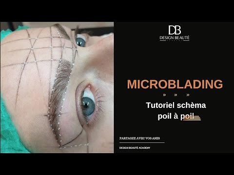 Tutoriel Microblading. Schéma du poil à poil Microblading