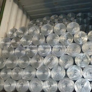 [Hot Item] Galvanized Welded Wire Mesh/Square Wire Mesh