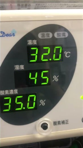 ❸Treatment of Toko-chan, a silver Java sparrow, with warmth, moisture and oxygen therapy in the ICU