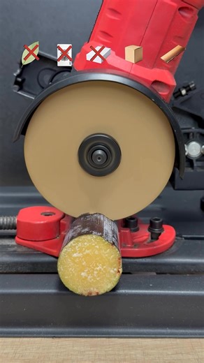 What kind of thing can cut sugar cane #hardcore #experiment | Logbily