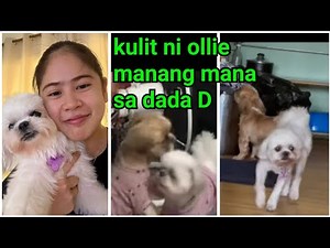 kay deanna nagmana si ollie? kaya naman pala magkasingkulit ang mag dada🤣😜