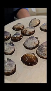 Indulge in a Seafood Extravaganza at Quality Seafood! 咽 Discover a mouthwatering selection of fresh catches. #QualitySeafood #SeafoodLovers #FreshCatches #FoodieHeaven #OceanDelights #SeafoodGalore #FishMarket #TasteOfTheSea #FoodAdventure #FoodieLife 呂 | Quality Seafood Redondo Beach | Facebook