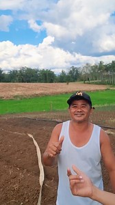 5K views · 218 reactions | Hello mga Ka Vibes sa gusto mg.palit ug Sibuyas PM lang | Ka Vibes | Facebook