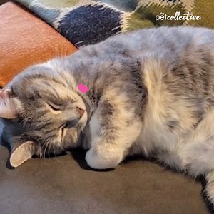 1.7M views · 3.9K reactions | I love me...some me!!! | Try Not to Laugh | Facebook