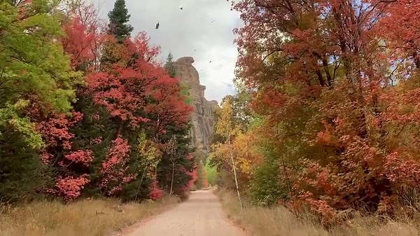 Beautiful fall colors in Maple Canyon, Utah! #campsaver #utah #maplecanyon #hike #climbing #sportclimbing #outdoors #hikeutah #reels | CampSaver.com | Facebook