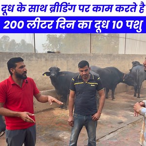 71K views · 3K reactions | Punit Agrofarm on Reels | Facebook