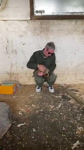 Dub Pistols on Reels