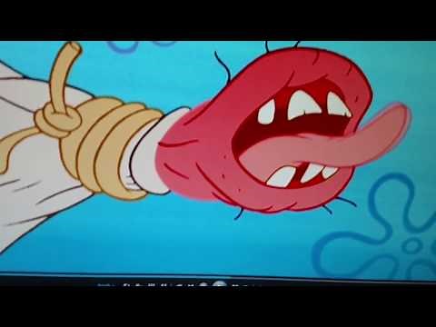 Spongebob Squarepants rule 34