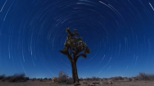 45 reactions | 渦巻く無数の星 ✨ #GoProHERO11 Blackの新機能、スタートレイルモードで撮影。  #GoProアワード 受賞者 Tristan Stokes HERO11 Black  GoPro.com/HERO11Black | GoPro | Facebook