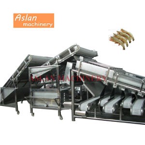 [Hot Item] Automatic Shrimp Cleaner Grader Machine/Prawn Washing Grading Machine/Fresh Shrimp Size Roller Sorting Machine for 6 Grades