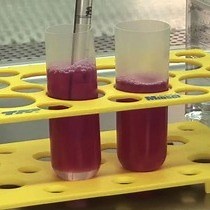 Video: Production of Lentiviral Vectors for Transducing Cells from the Central Nervous System