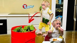 The incredibly intelligent Monkey BiBi, assists Dad in making sticky rice cakes! #Monkeybibi #Babymonkey #animalhome #Smartmonkey #Monkeydaily #smartmonkeybibi #Sweetmonkey #Cutemonkey | Marco Sanders