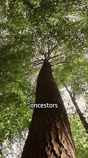 Ever experienced hypnic jerks? #Science #Research #Sleep | Hashem Al-Ghaili