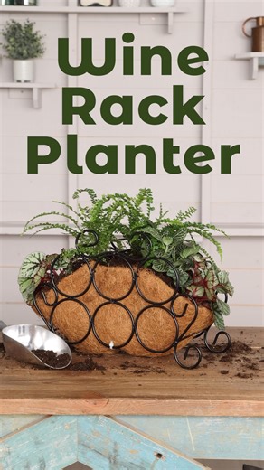 Reader Tip: DIY Wine Rack Planter🍷🌿✨ As she was about to throw out her old metal wine rack, Jennifer got the idea to turn it into an easy planter! See how this upcycled container comes together with a few zip ties and a coco fiber basket liner for a simple weekend project — Tip submitted by Jennifer Butler, NC Submit your clever garden tips to Garden Gate for a chance to be featured in a future issue. And don’t forget, we’ll pay $50 for tips we publish in print! www.GardenGateMagazine.com/shar