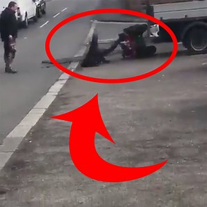 52K views · 139 reactions | Natural selection | British Humour | Facebook