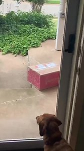 Sustainable groceries that are *really* sustainable. 🥕♻️ Sign up for free today! | Imperfect Foods