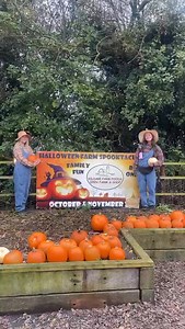 Pumpkins half price | Kildare Farm Shop & Open Farm