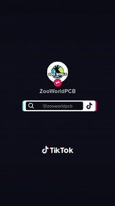 2.1K views · 113 reactions | The oldest Flamingo Chick is enjoying some playtime in the kiddy pool! | ZooWorld Panama City Beach | Facebook