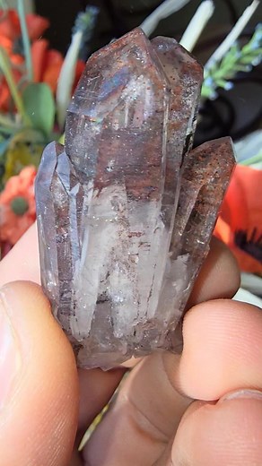 Contemplating warmer weather. But man that view 👌 | Colorado Geology