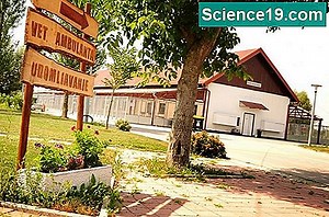 Kako usporediti anatomiju goveđeg srca i ljudskog srca 💫 Znanstveno-Popularni Multimedijalni Portal. 2025