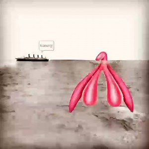 ¡ El cleitoris es como un pequeño y placentero iceberg! Pareciera casi imperceptible, escondido debajo de la superficie de la Vulvia, pero existe, y merece toda nuestra atención y devoción! .⁣ Para conocer más sobre él, checa el video que hice sobre el tema!!! https://youtu.be/esihk6OB8WM ⁣. . . . . #saludsexualfemenina #vivalavulva #sexualidadefeminina #cliterate #cliteracy #artefeminista #mujeres #collagefeminista #amatucuerpo #loveyourself #piacerefemminile #collageart #collageartwork #colla