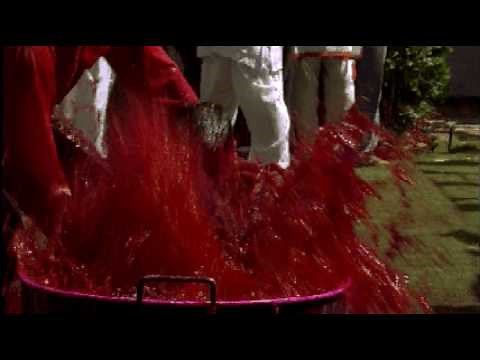 Cracking the Colour Code