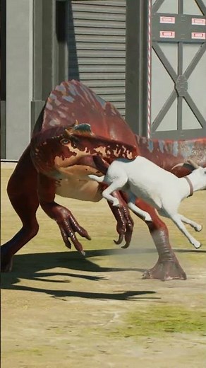 Wetland Carnivores Eating Good!