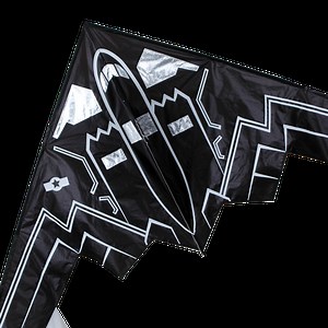 56 in. Delta Kite - Stealth Bomber - Premier Kites & Designs