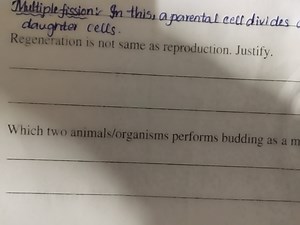 Biology QuestionsDefine multiple fission and explain what hap... | Filo