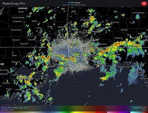 ☔️⛈⚡️ 2pm- Numerous showers and thunderstorms are ongoing this afternoon. Main concerns with these storms include heavy rainfall, frequent lightning, and gusty winds. | US National Weather Service Mobile Alabama