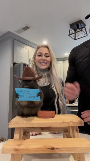 57K views · 3.7K reactions | The nut family got VERIFIED! THANK YOU ALL FOR THE LOVE AND SUPPORT #fyp #fypp #fpy #viral #video #fun #funny #breakfast #love #insta #instagram #instago #instagood #instadaily #tiktok #pet #pets #animal #animals #smile #best #friend #follow #us | A Squirrel Named Peanut | Facebook