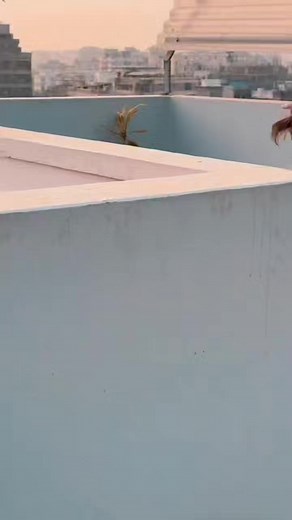 Hot pink katan blouse | VAAZZ